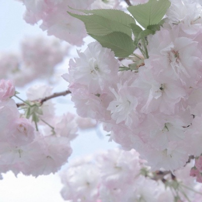 Furry绘画质感灵感兽圈社群